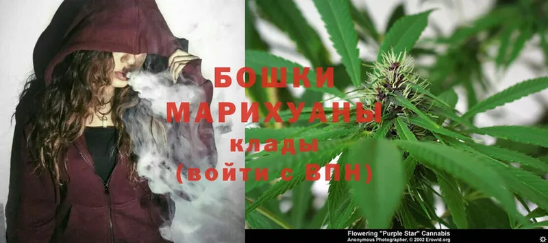 нарко площадка наркотические препараты  Звенигород  Марихуана White Widow 